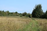 Езерище и окрестности, image of landscape/habitat.