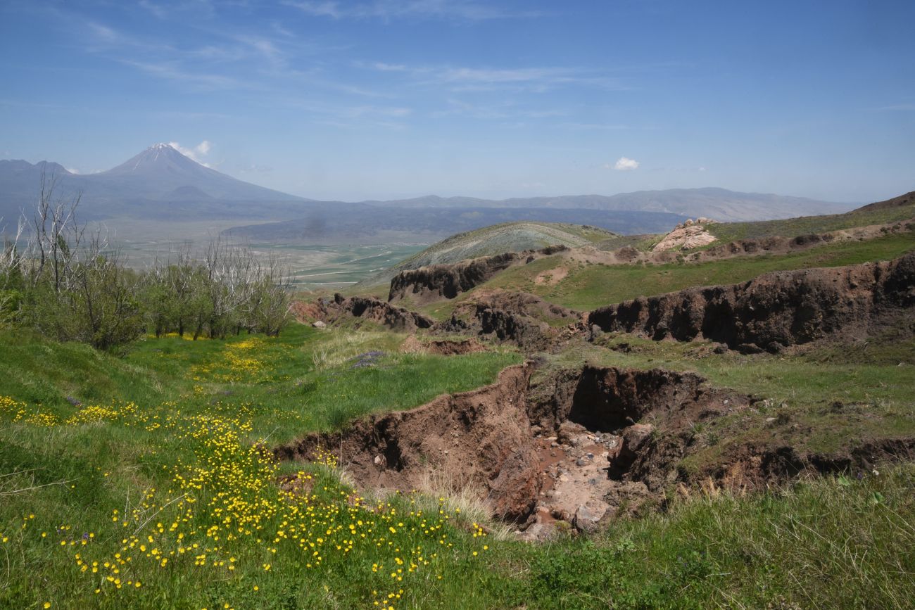 Урочище Ноев Ковчег, image of landscape/habitat.