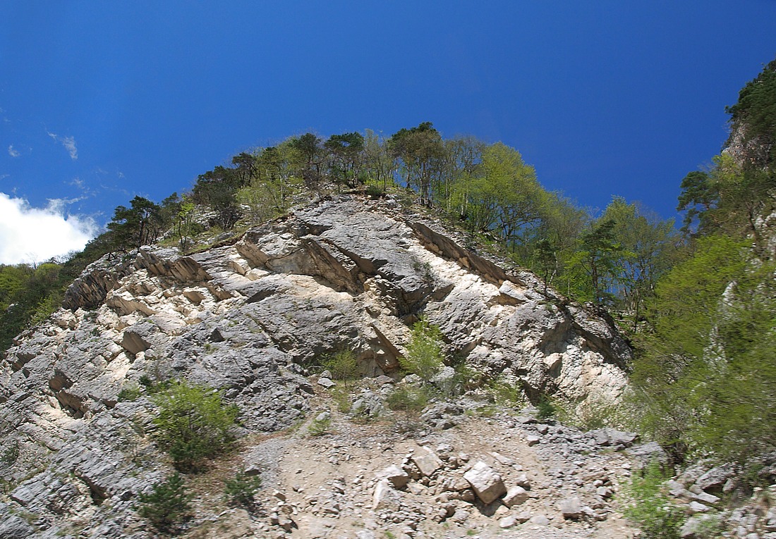 Низовья Алагирского ущелья, image of landscape/habitat.