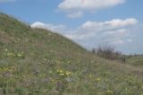 Image of landscape