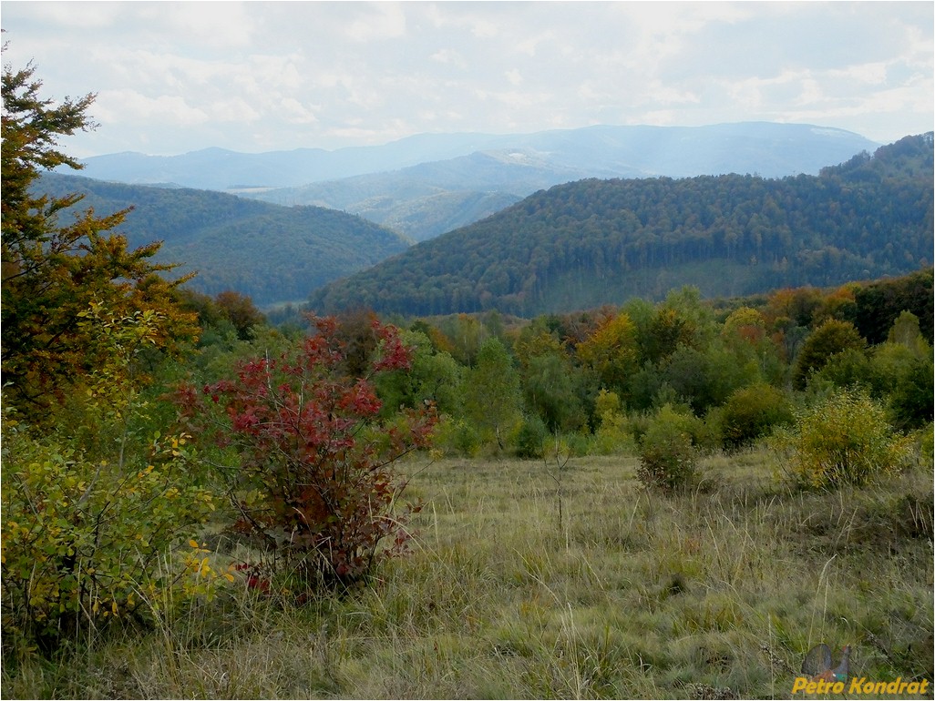 Сколевские Бескиды, image of landscape/habitat.