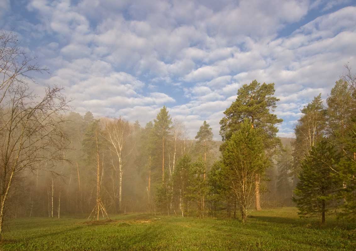 Окрестности урочища Куртаза, image of landscape/habitat.