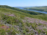 Image of landscape