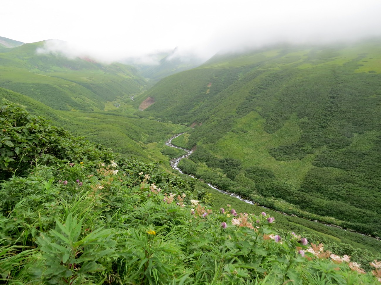 Онекотан, image of landscape/habitat.