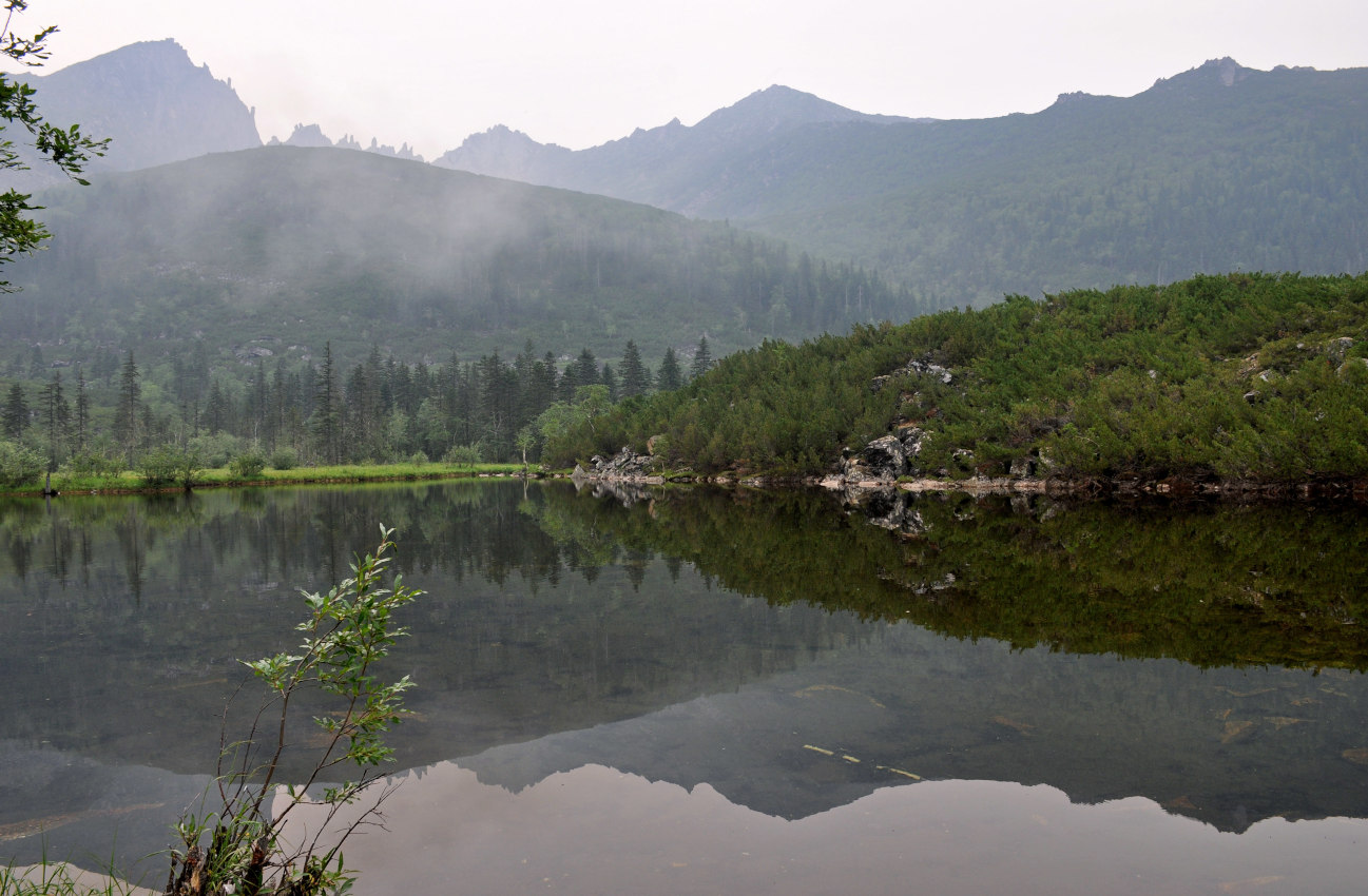 Озеро Тюленье, image of landscape/habitat.