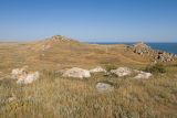 Караларская степь, image of landscape/habitat.