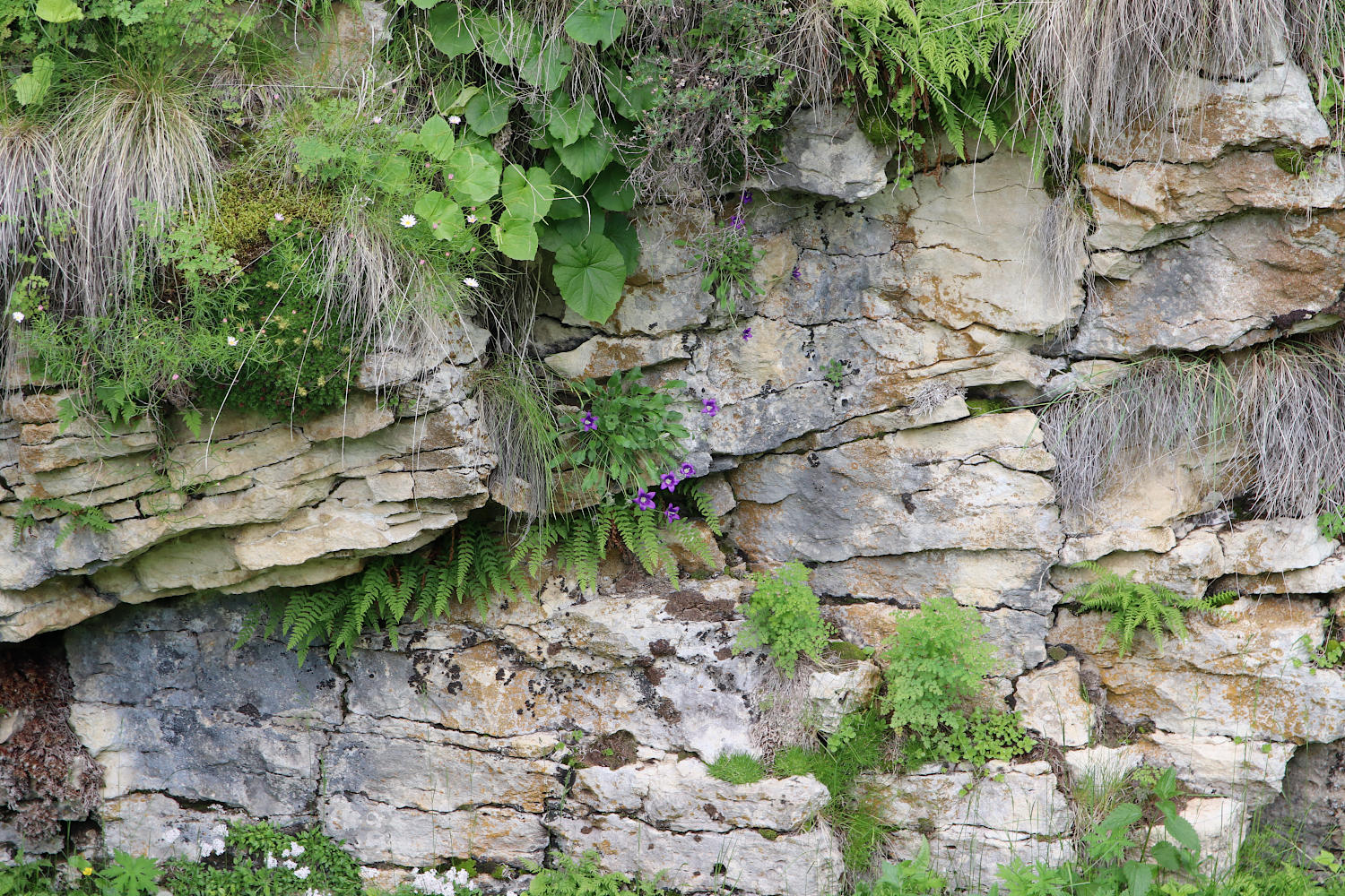 Природный парк "Верхний Гуниб", image of landscape/habitat.