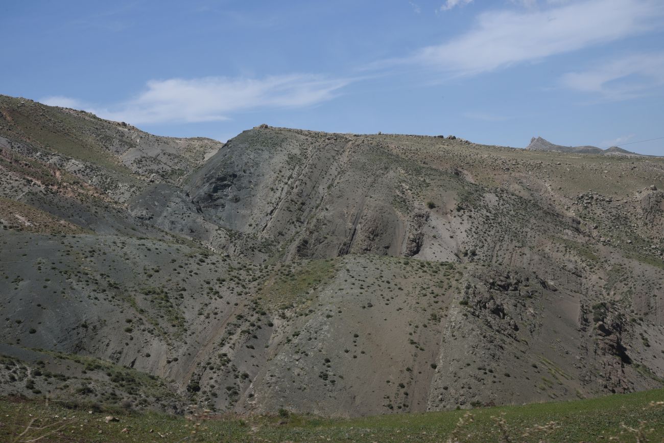 Телчекер, image of landscape/habitat.