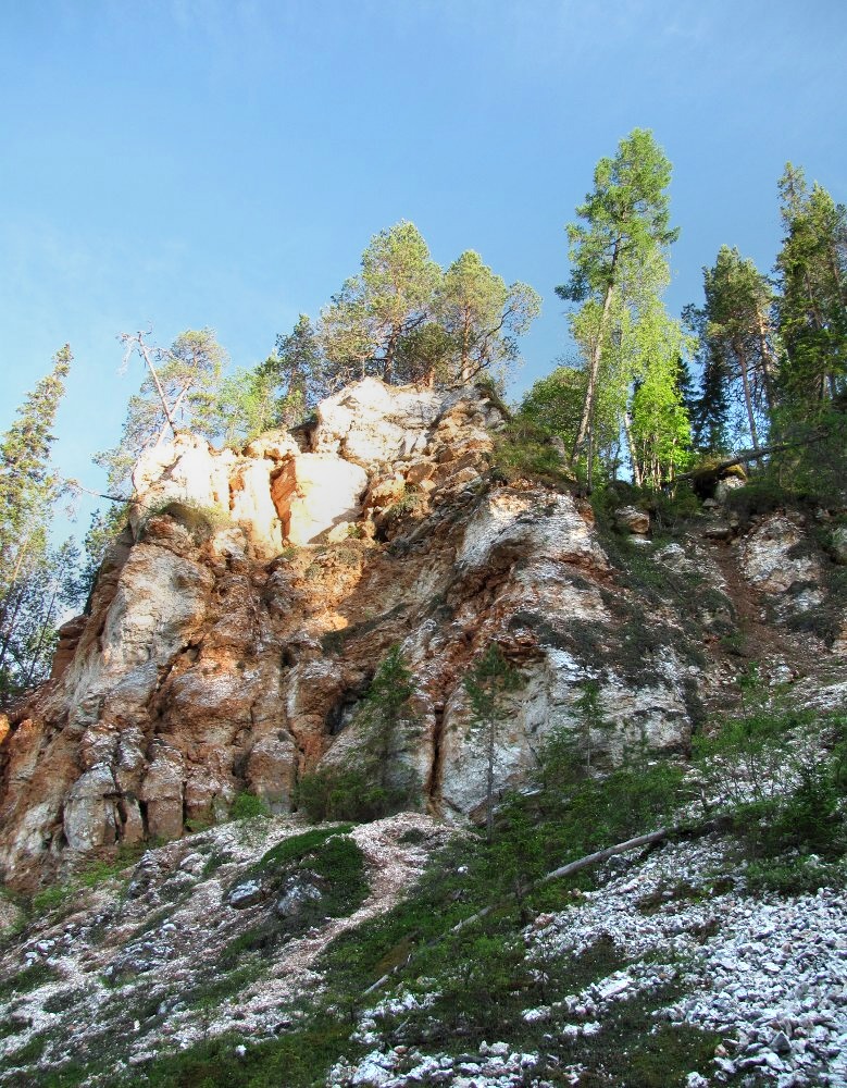 Окр. Пинежского заповедника, image of landscape/habitat.