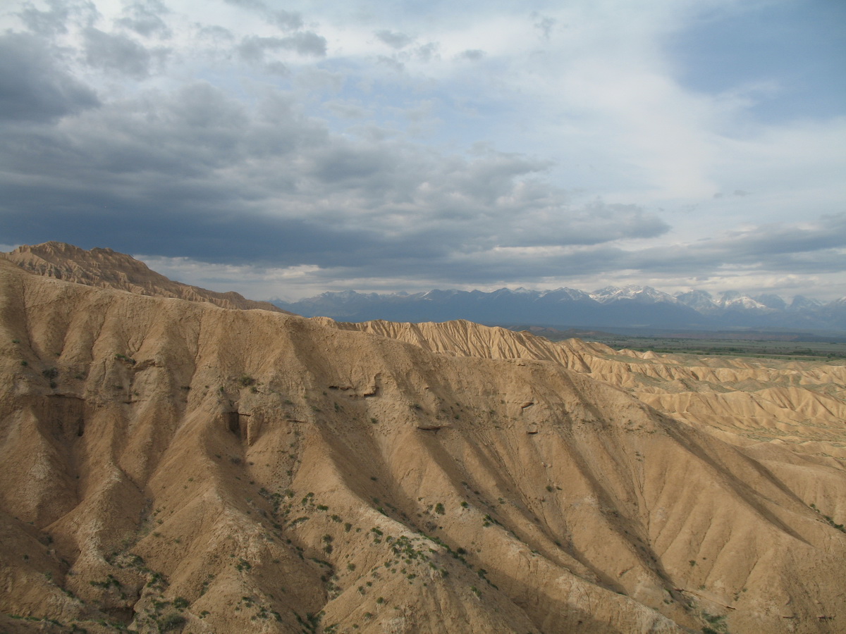 Горы Актау (восток), image of landscape/habitat.