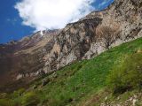 Image of landscape