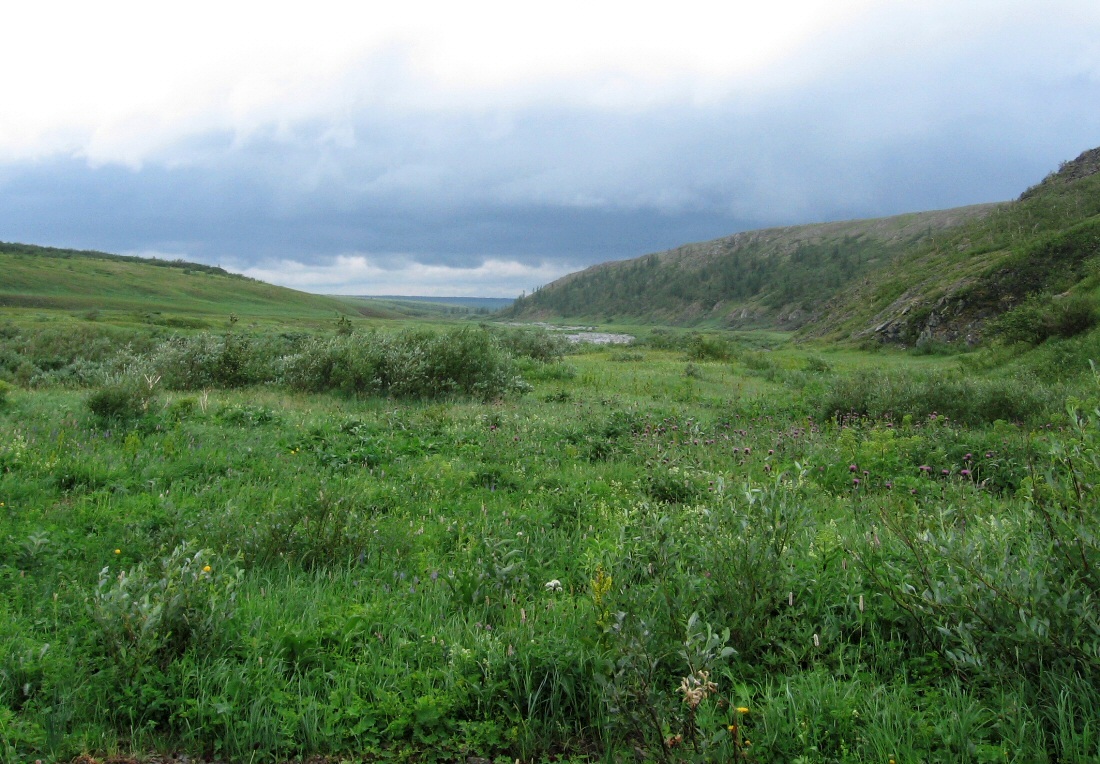 Грубею, image of landscape/habitat.