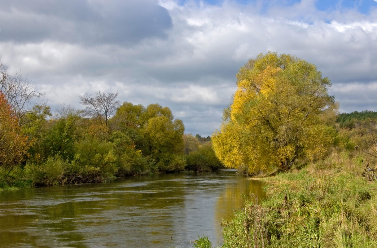 Окрестности деревни Полетаево, image of landscape/habitat.