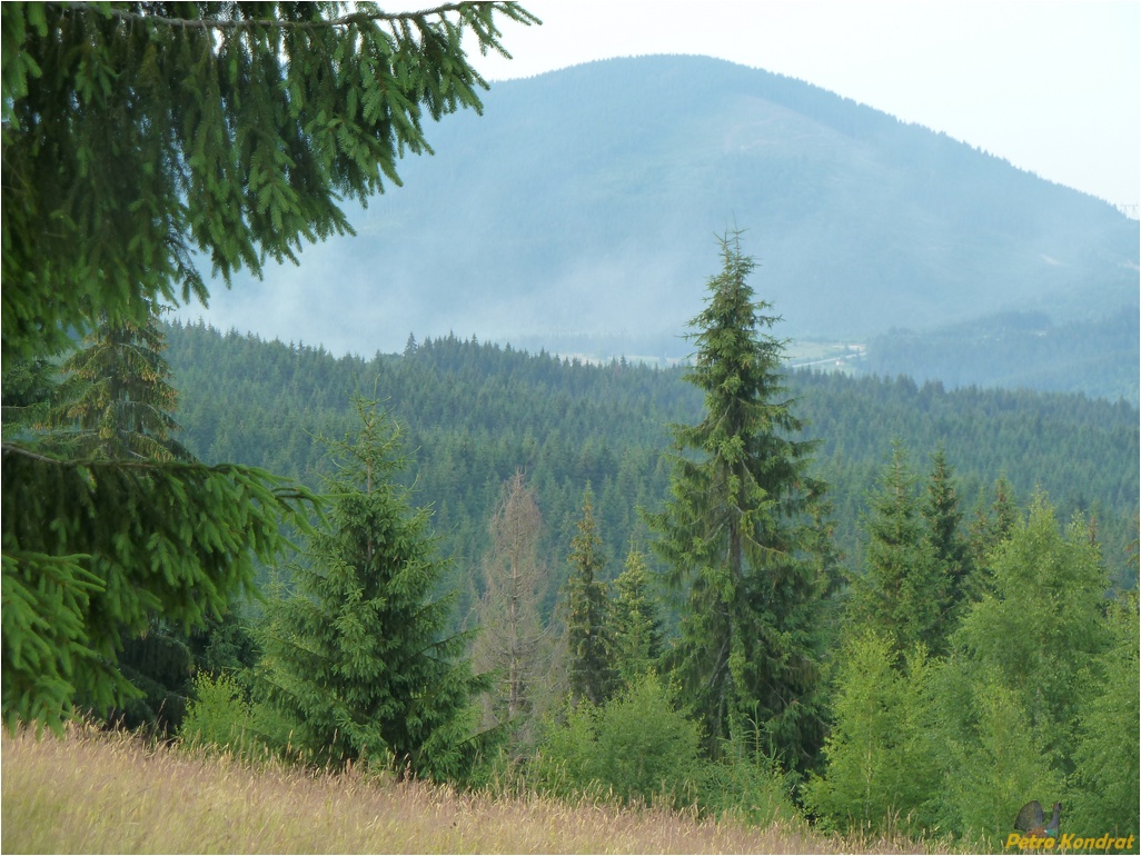 Сколевские Бескиды, изображение ландшафта.