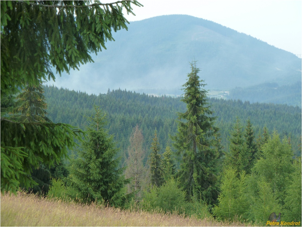 Сколевские Бескиды, image of landscape/habitat.