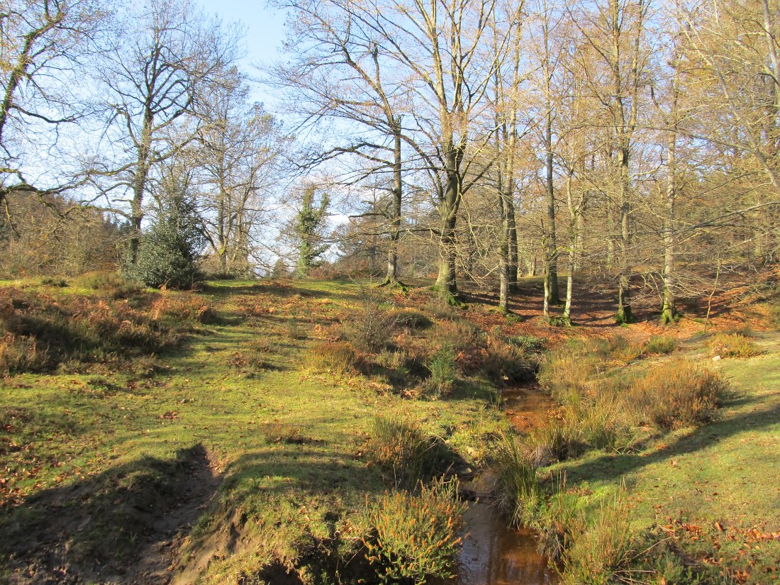 Арратия, image of landscape/habitat.