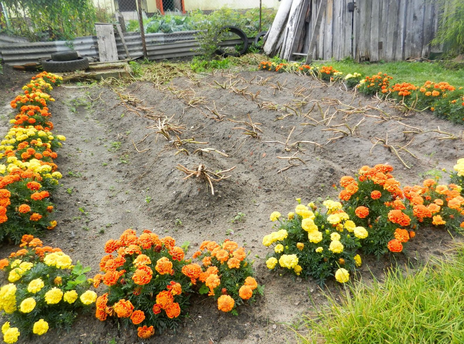 Переславль-Залесский, image of landscape/habitat.