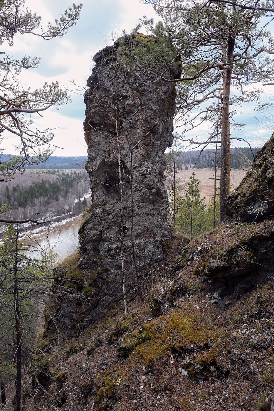 Камень Ростун и его окрестности, image of landscape/habitat.