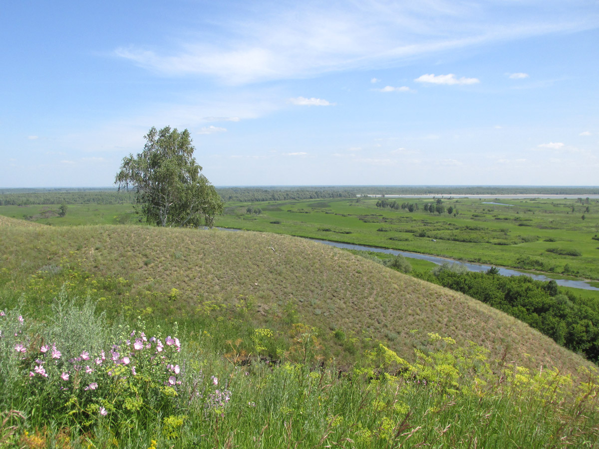 Южный, image of landscape/habitat.