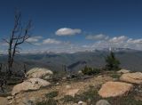 Landscape image