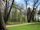 Image of landscape