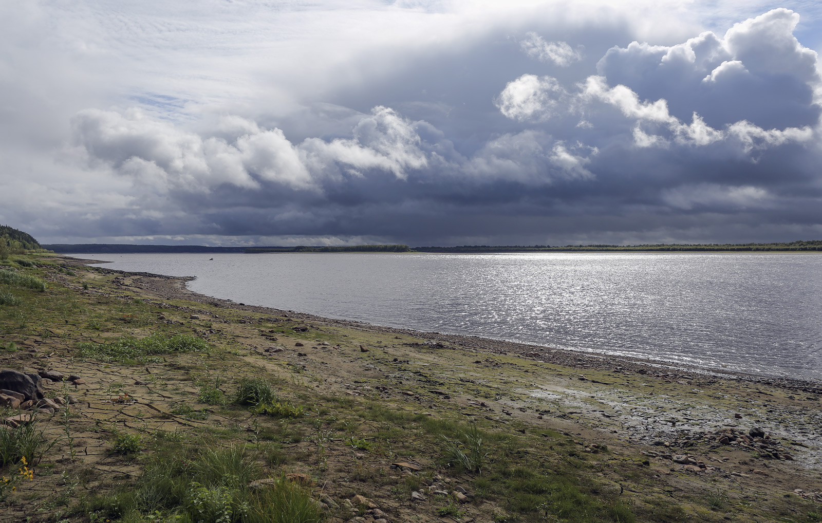 Окрестности Горнореченска, image of landscape/habitat.
