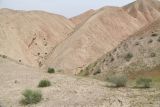 Image of landscape