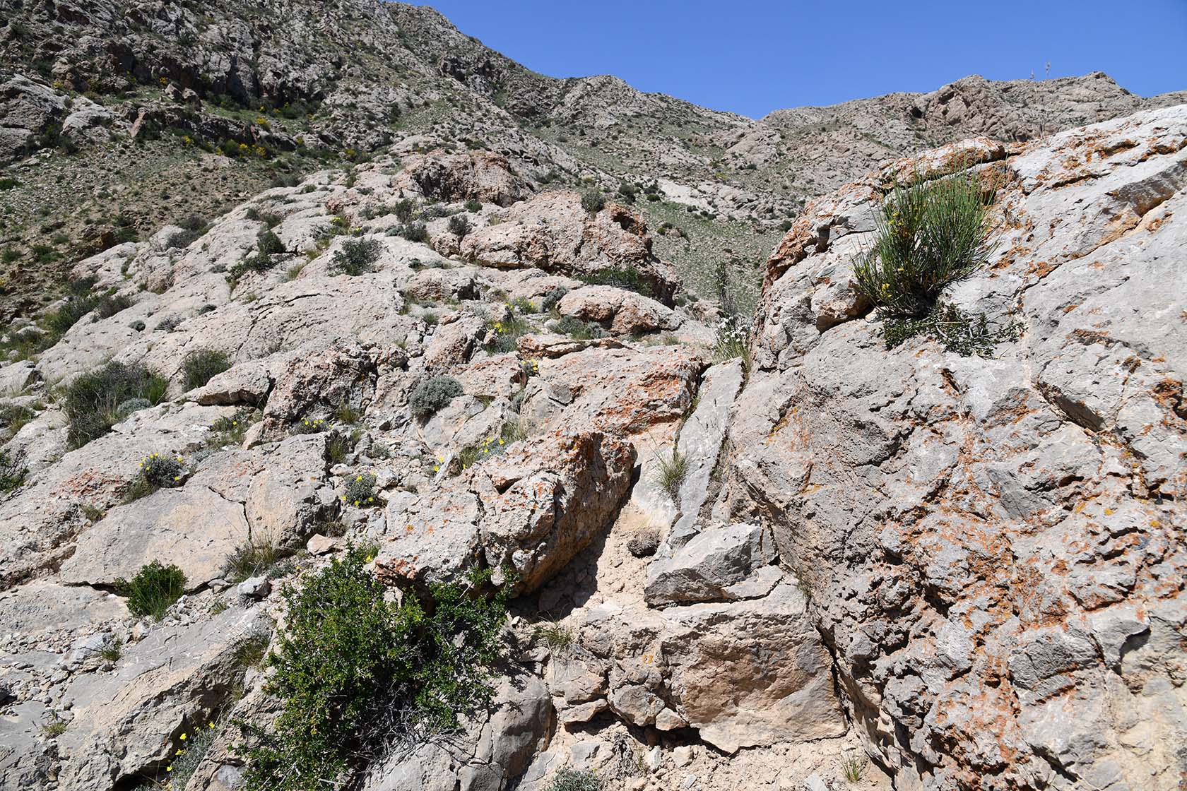 Кон-и-Гут, image of landscape/habitat.