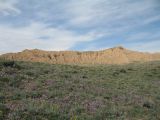 Image of landscape