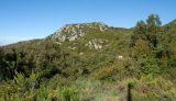 Image of landscape