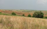 Image of landscape