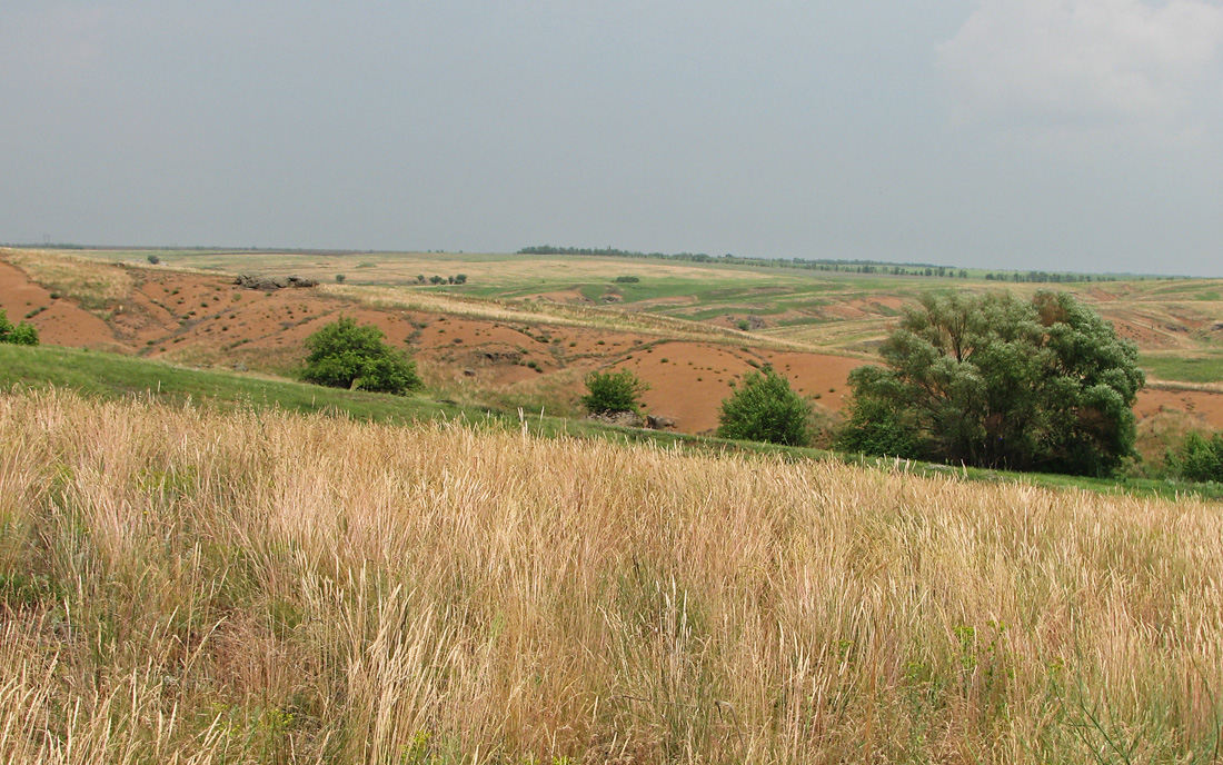 Хан-Тарама, image of landscape/habitat.