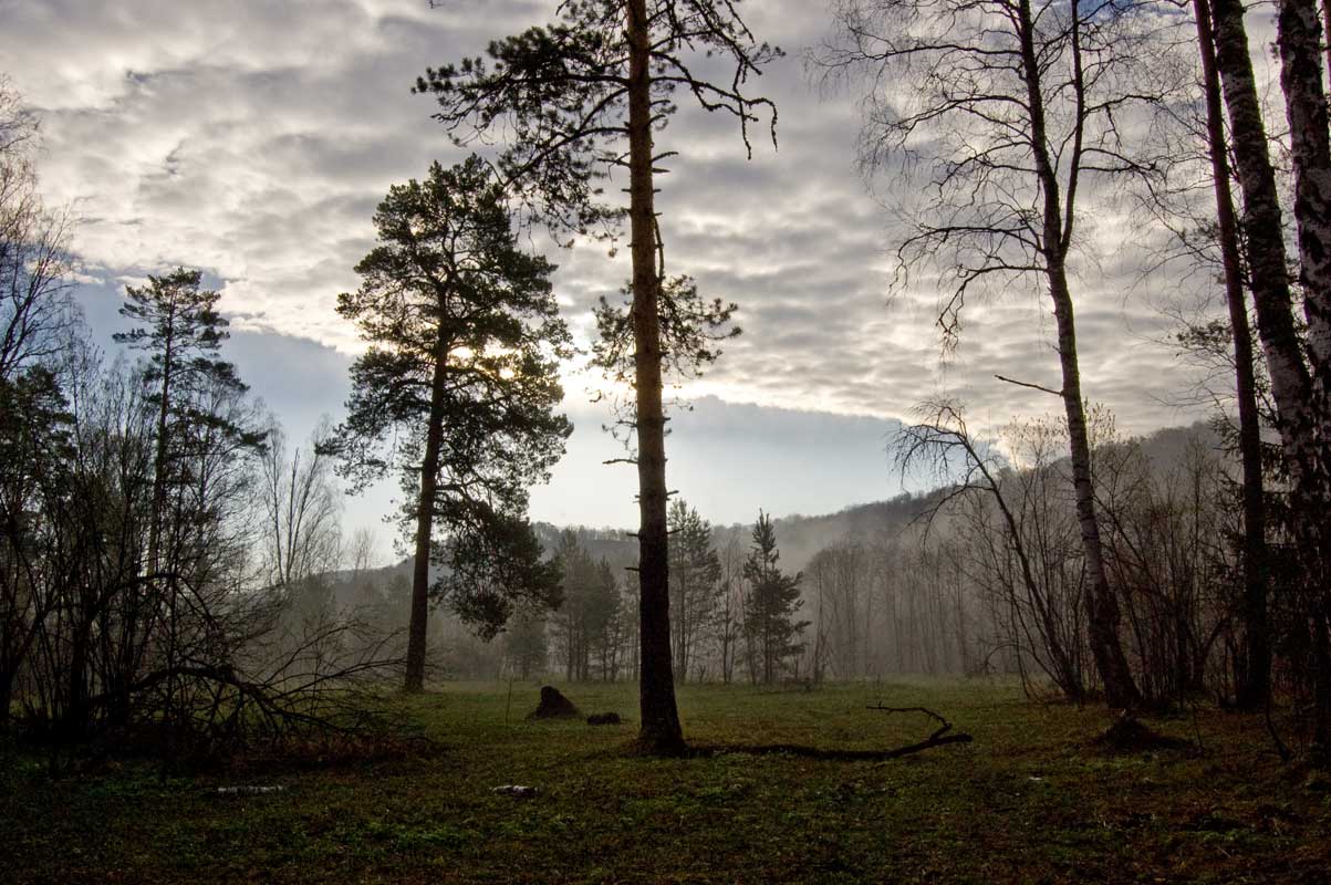 Окрестности урочища Куртаза, image of landscape/habitat.