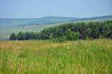 Озеро Большое, image of landscape/habitat.