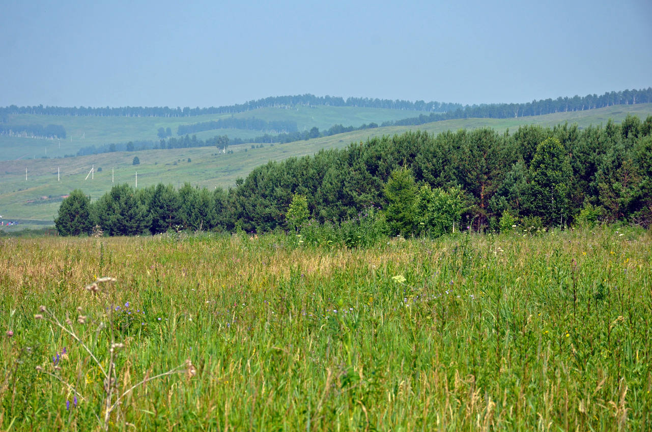 Озеро Большое, image of landscape/habitat.