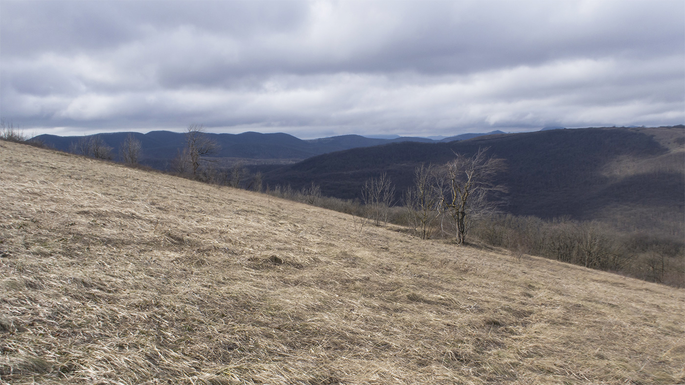 Гора Рябкова, image of landscape/habitat.