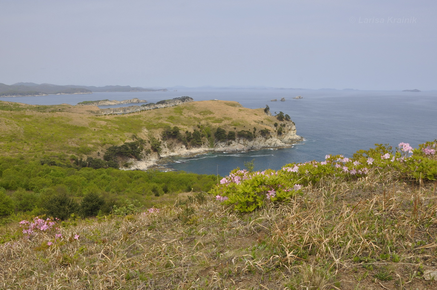 Полуостров Гамова, изображение ландшафта.