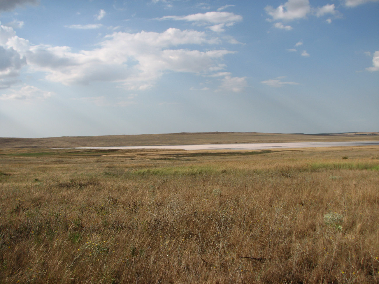 Окр. Яковенково, image of landscape/habitat.