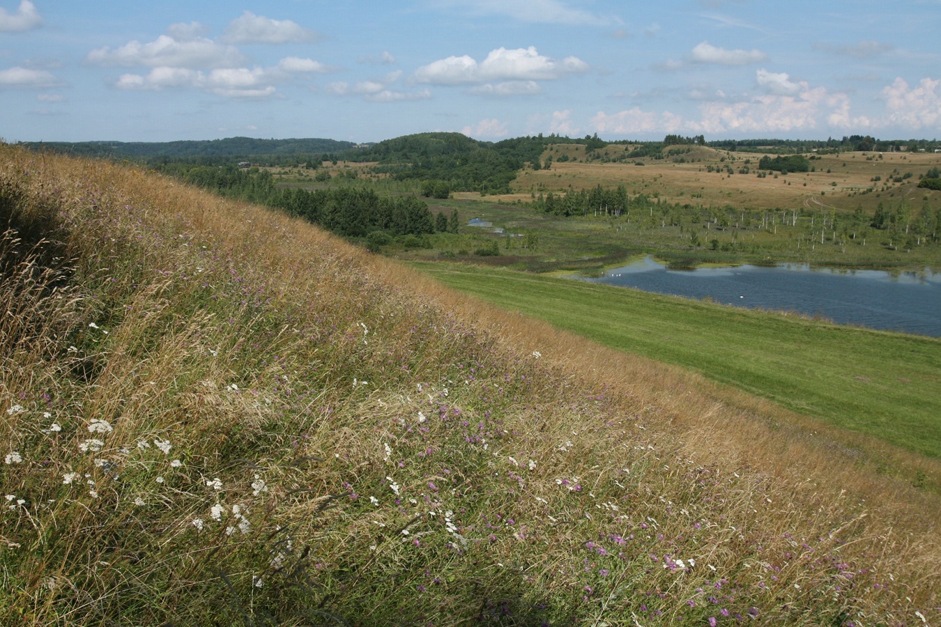 Труворово городище, image of landscape/habitat.