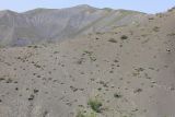 Image of landscape