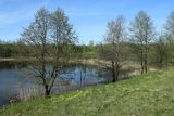 Image of landscape