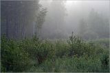 Окрестности Хрипани, image of landscape/habitat.