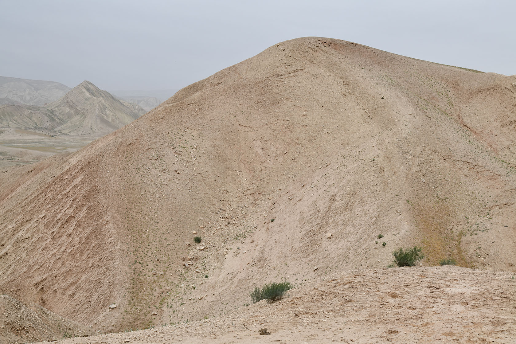 Перевал Дандан-Чикан, image of landscape/habitat.