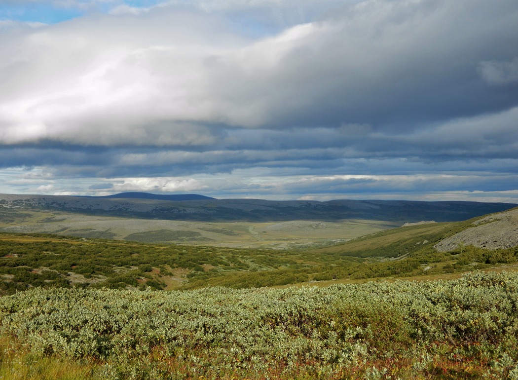 Ручей Озёрный, image of landscape/habitat.