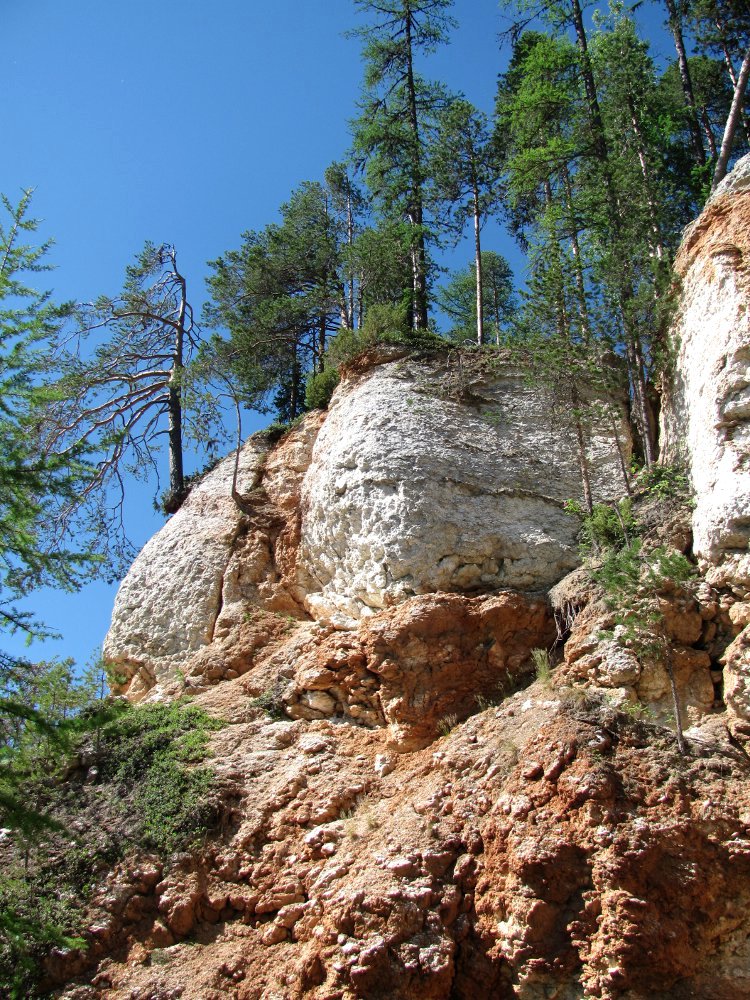 Окр. Пинежского заповедника, image of landscape/habitat.