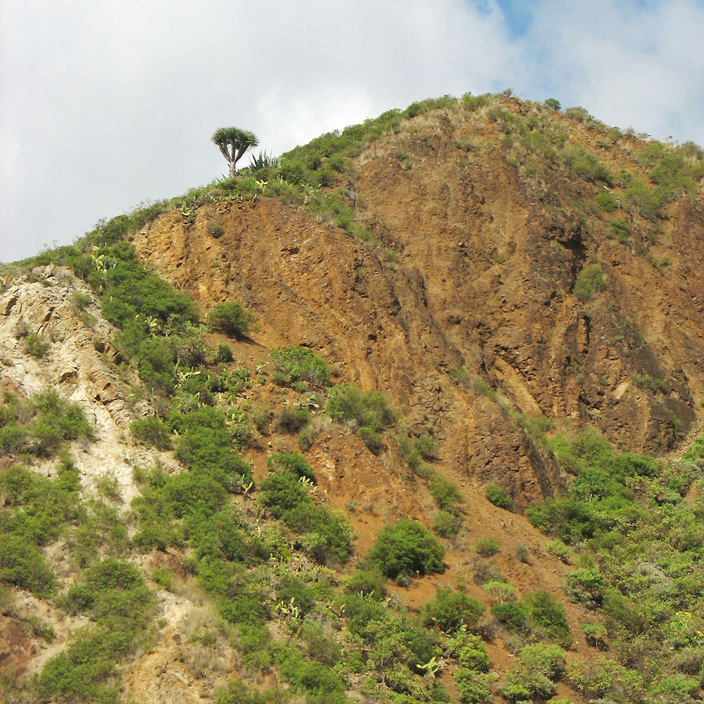 Ландшафтный парк Анага, image of landscape/habitat.