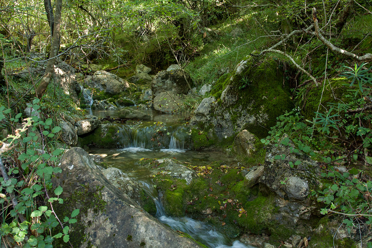 Кульяче и окрестности, image of landscape/habitat.