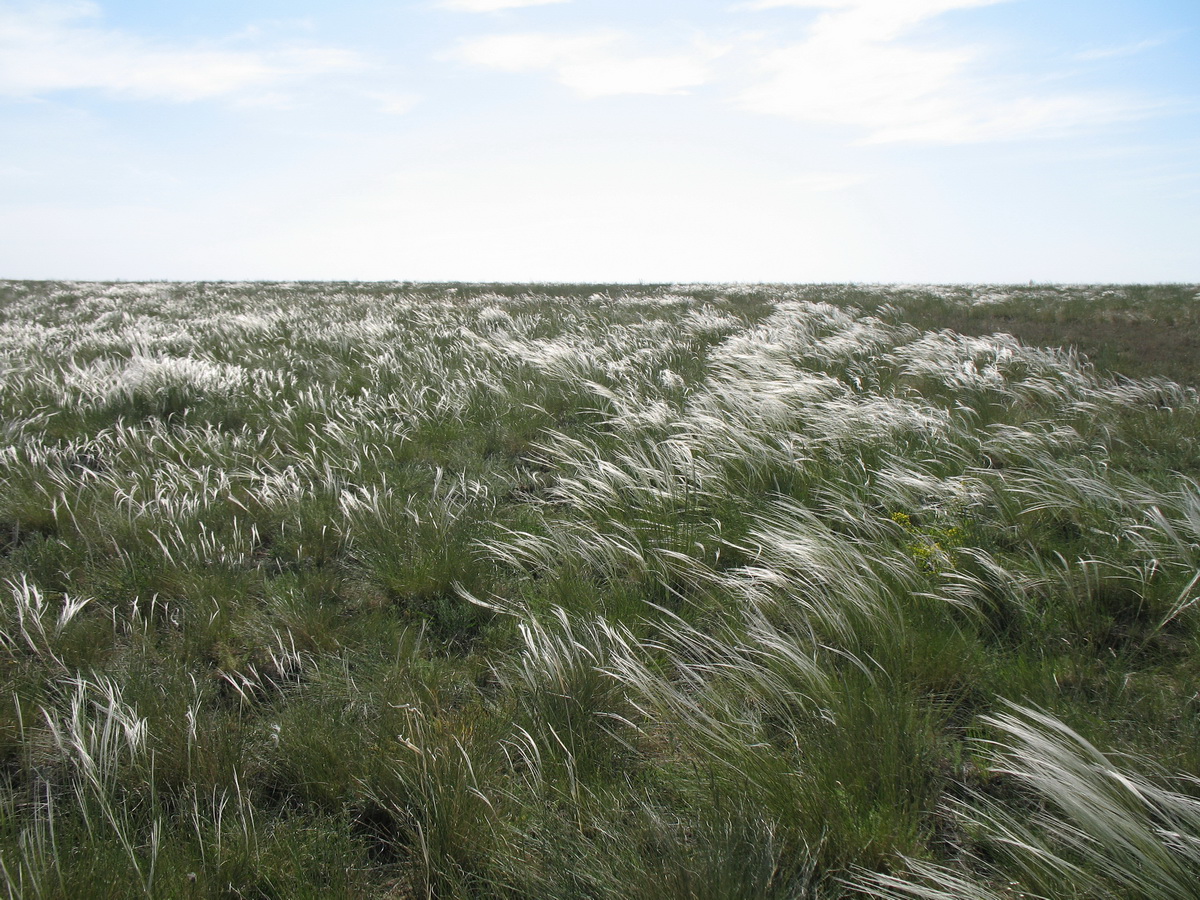 Кургальждинский заповедник, image of landscape/habitat.