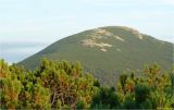 Image of landscape