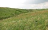 Image of landscape